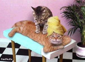 cats-body-massage